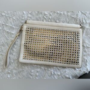 Trendy Clutch/Pouch
